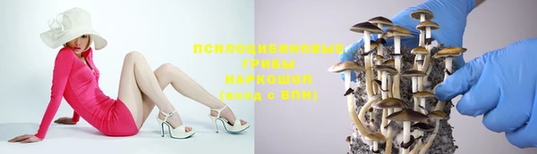 гашиш Богданович