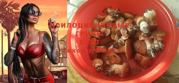 mdpv Бронницы