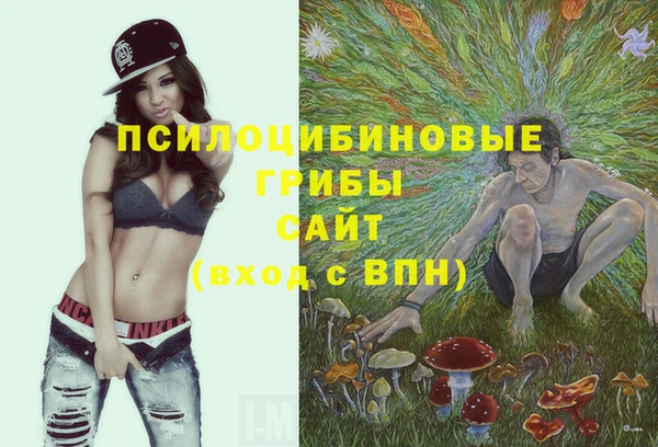 дмт Губаха