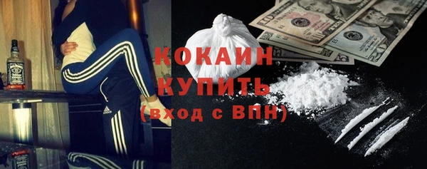 гашиш Богданович