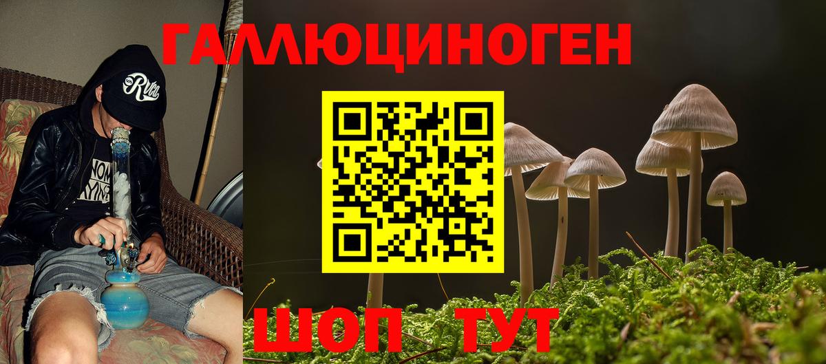 Псилоцибиновые грибы мицелий  Псилоцибиновые грибы Psilocybine cubensis  Гулькевичи  Вход с VPN 